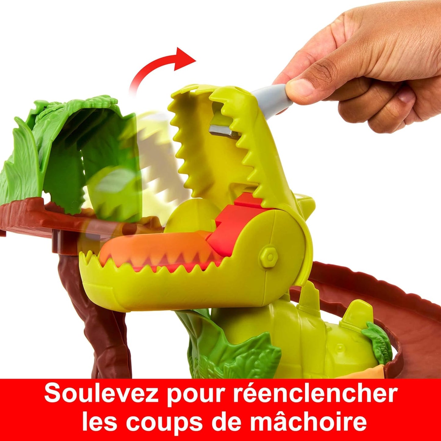 Circuit Cars Toon - Dino Parc